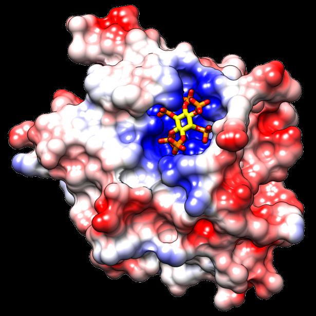 3eeb-coulombic