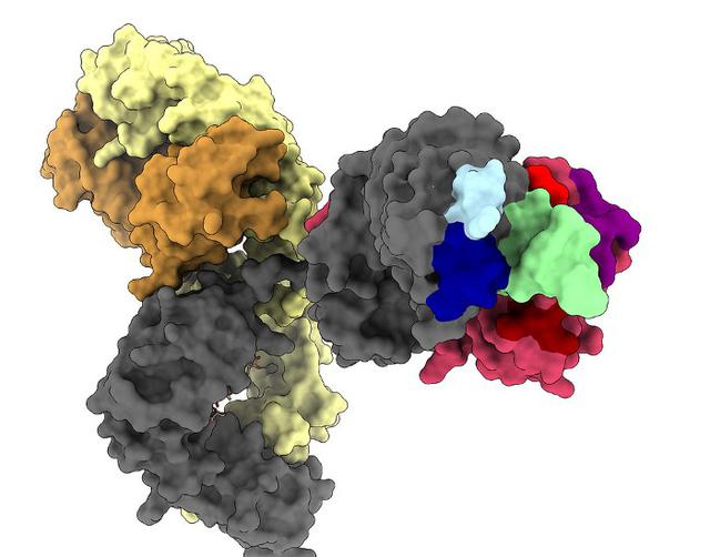 ihzh_02
