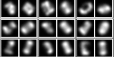 Side-by-side Montage.