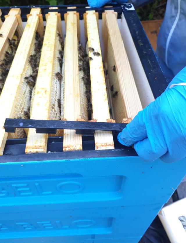 Installing bee spacers