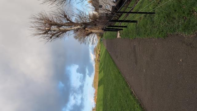 Berwick