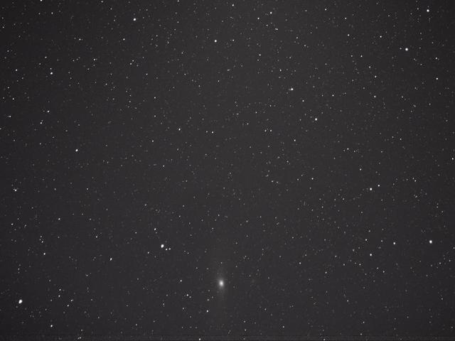 M31