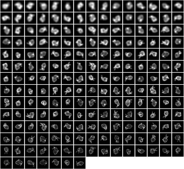 Montage of Input Images.