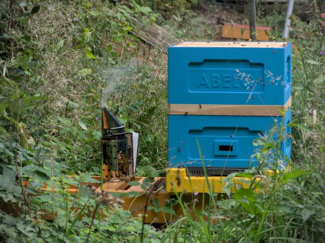 Bee hive and smoker