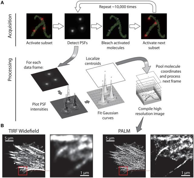 Overview of SMLM.