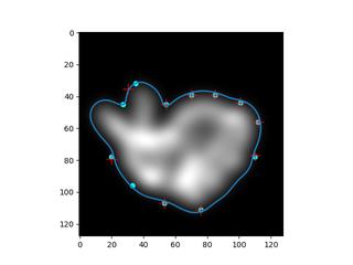 Bunny Rabbit Curve Detection