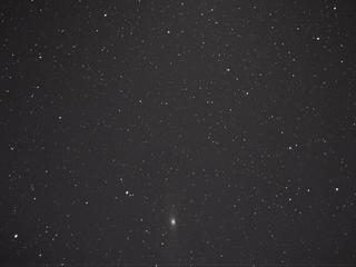 M31