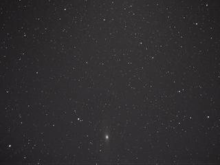 M31