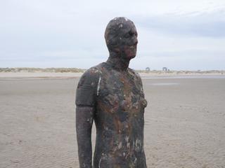 Gormley