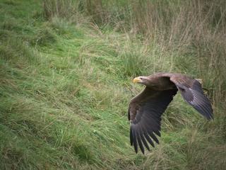 Northumberland