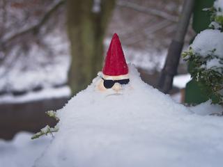 Snow Gnome