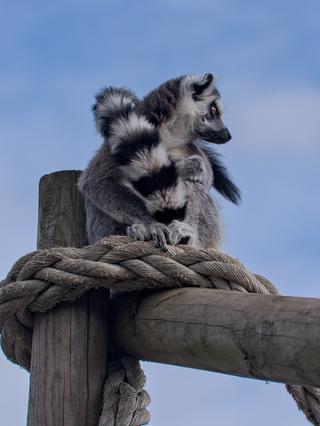 Fife Zoo